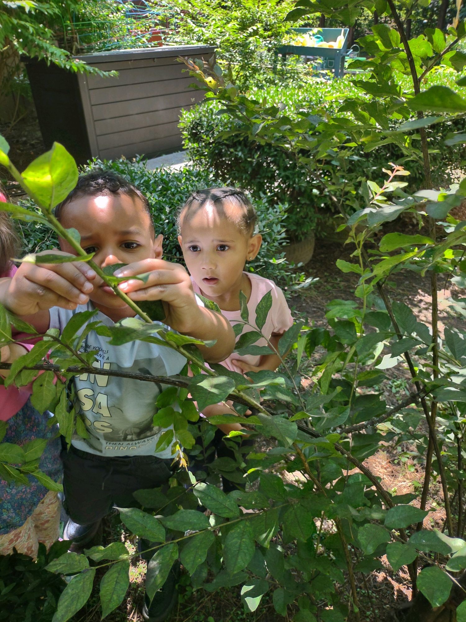 children looking closely at a branch